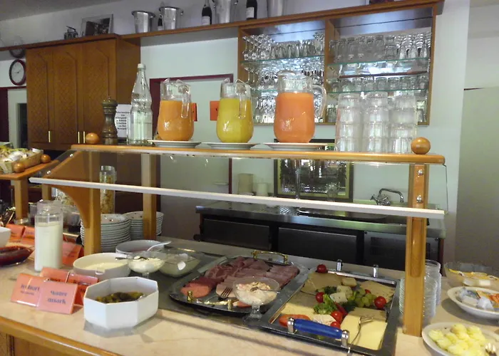 Hotel Montana Lauenau 3*